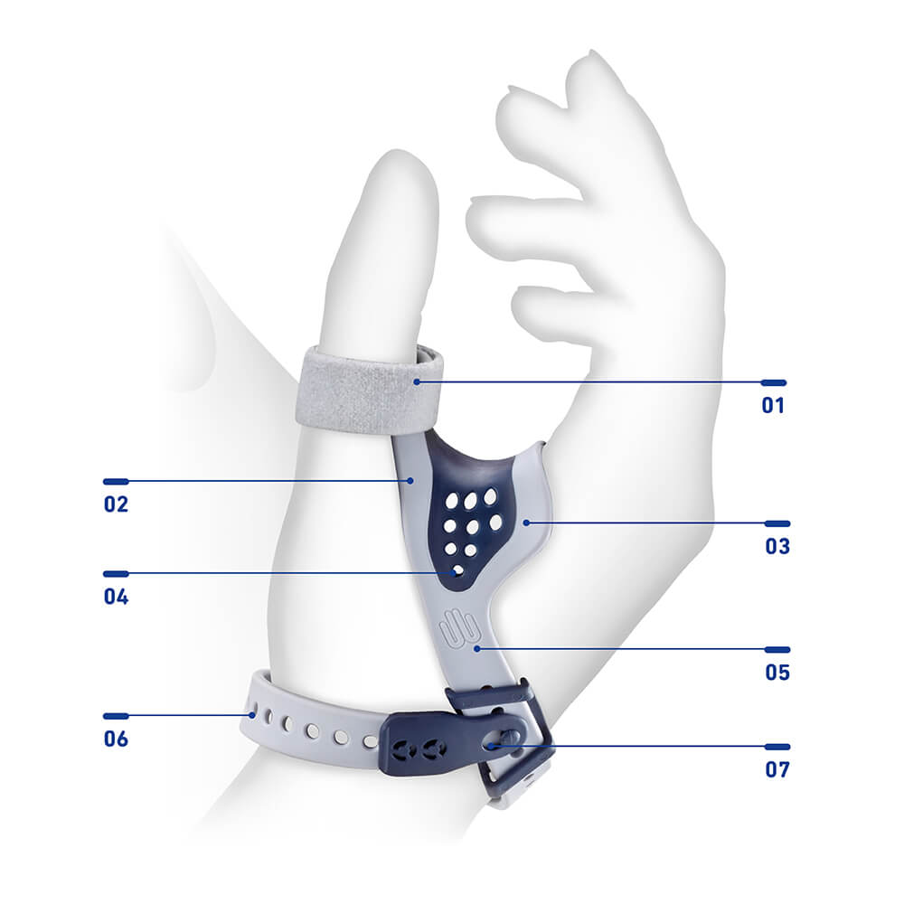 bb1efdd4-6a13-49d1-a579-0c8060a2cf52-image